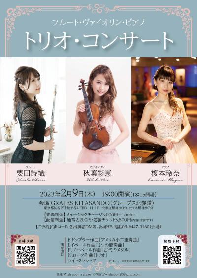 trio concert